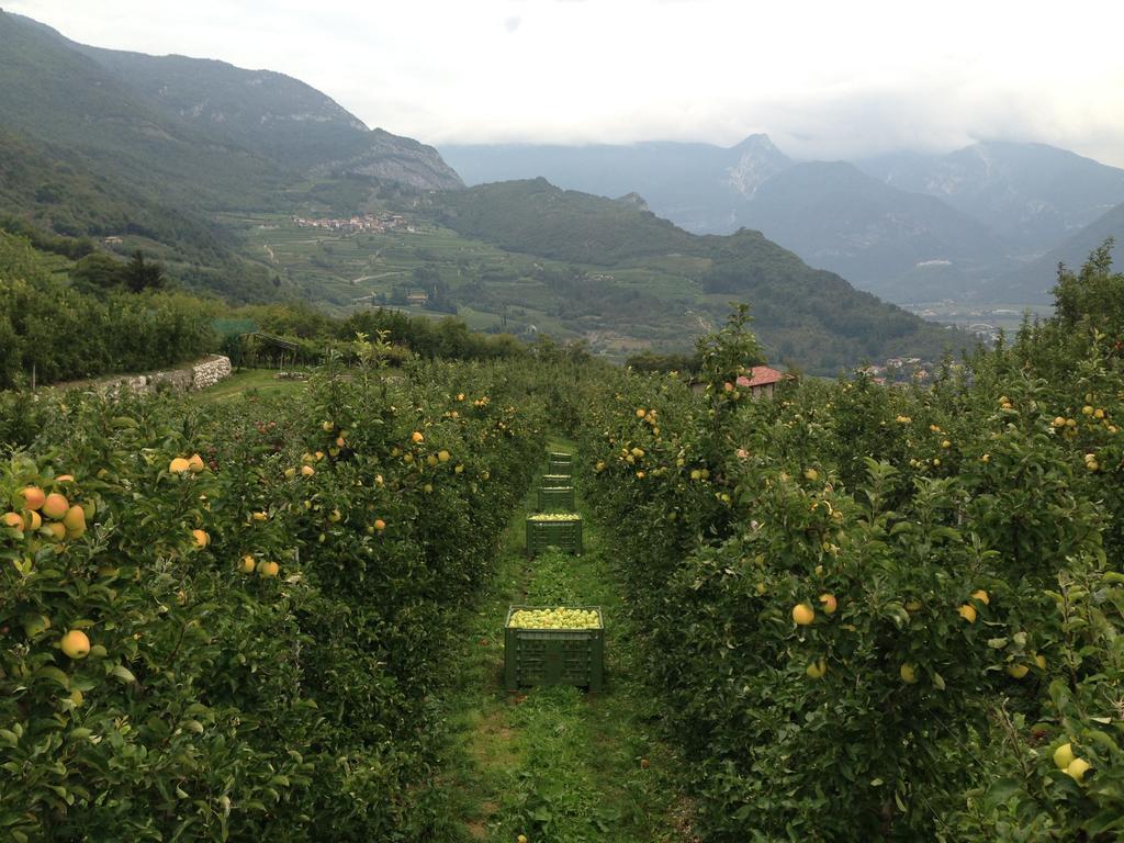 Agritur Le Pergole Hotell Villa Lagarina Eksteriør bilde