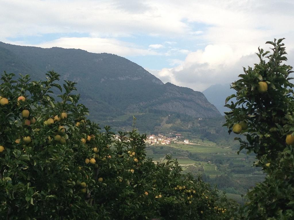 Agritur Le Pergole Hotell Villa Lagarina Eksteriør bilde