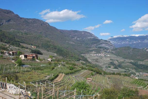 Agritur Le Pergole Hotell Villa Lagarina Eksteriør bilde