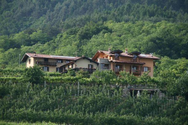 Agritur Le Pergole Hotell Villa Lagarina Eksteriør bilde