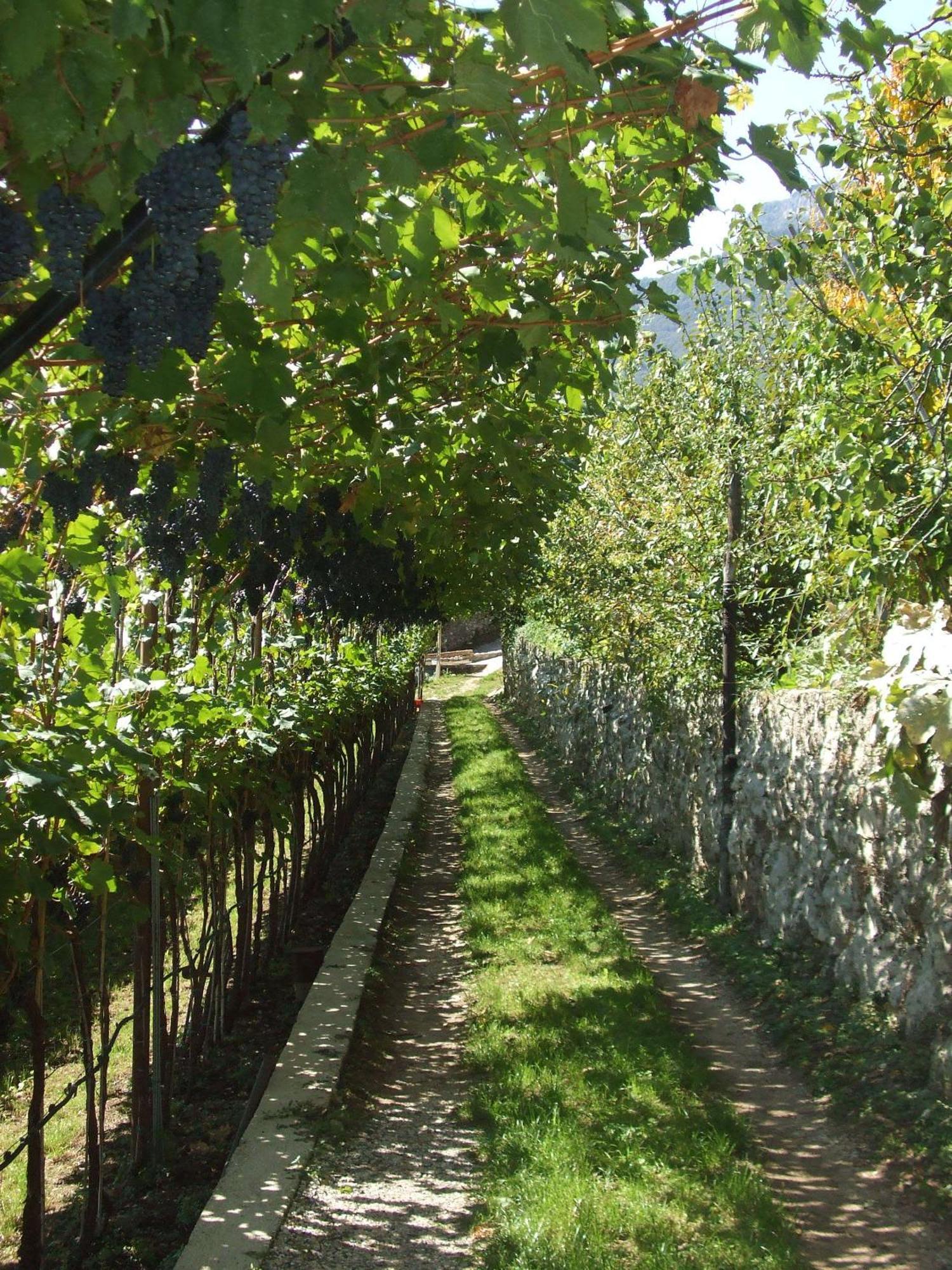 Agritur Le Pergole Hotell Villa Lagarina Eksteriør bilde
